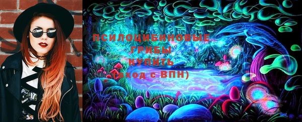 мдпв Абинск