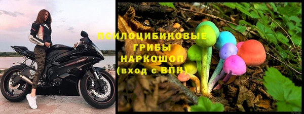 прущая мука Абаза