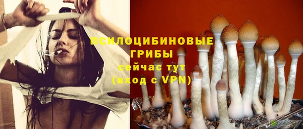 PSILOCYBIN Михайловск